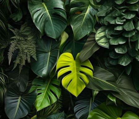 green-oasis (1)